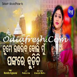 Tume Udhariba Boli Pankare Budichi